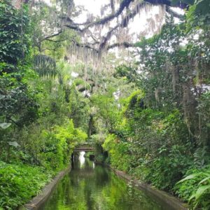 Winter Park Canal