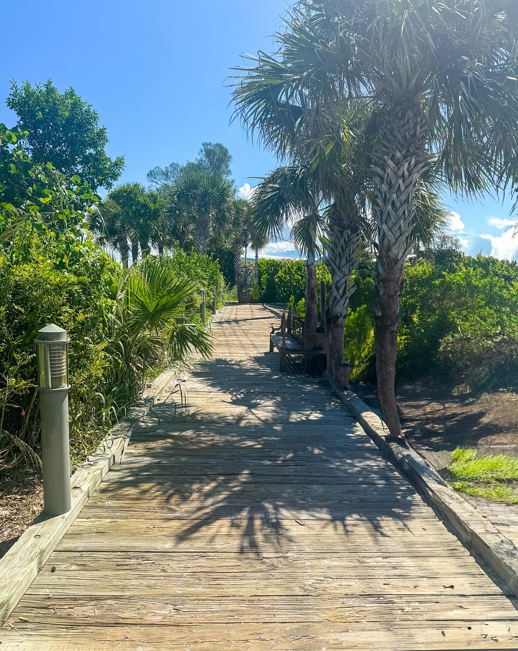 walkway, tropical, florida, travel, usa, sky, nature